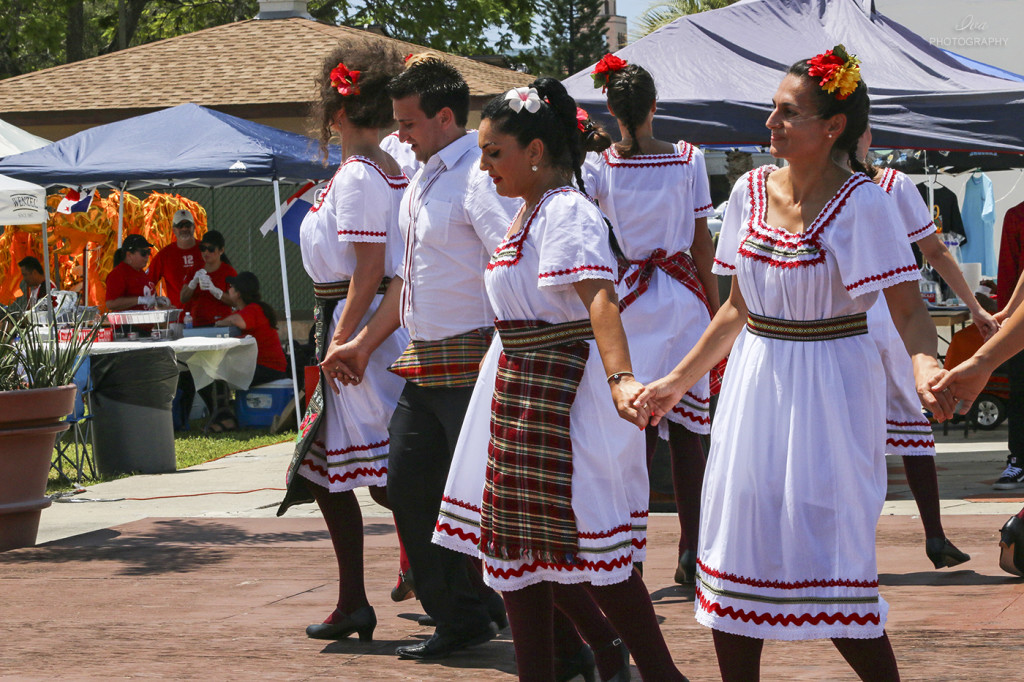 IMG 6961 1024x682